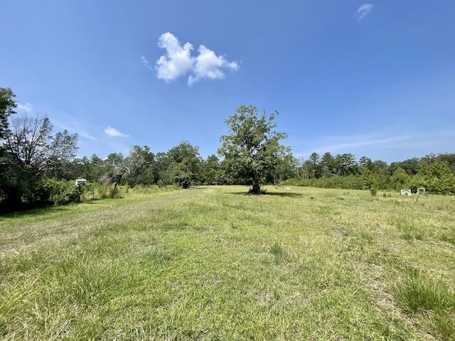 71290 Ralph Gantt Road Little River, AL 36550 - Photo 14 of 31