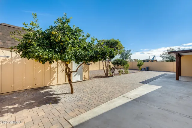 a view of a yard with plants and a trees