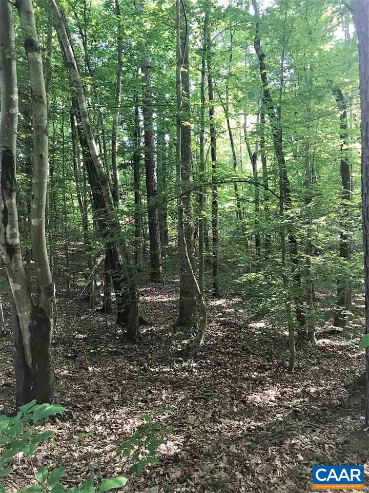 Lot 102 Ripping Court Palmyra, VA 22963 - Photo 1 of 1 Gallery Image 1