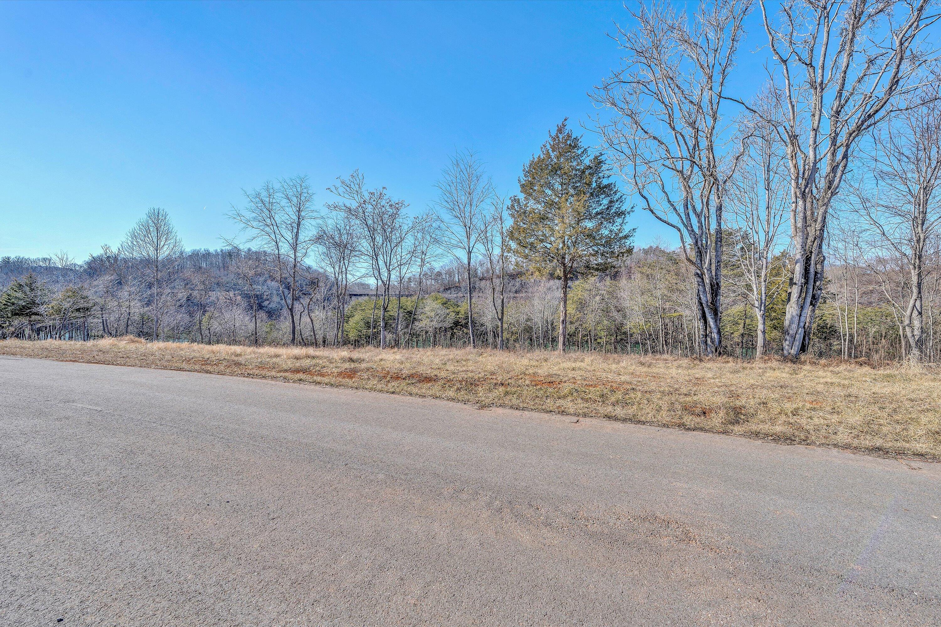 Lot 4 Springsteen Circle Hardy, VA 24101 - Photo 12 of 23 a view of dirt yard