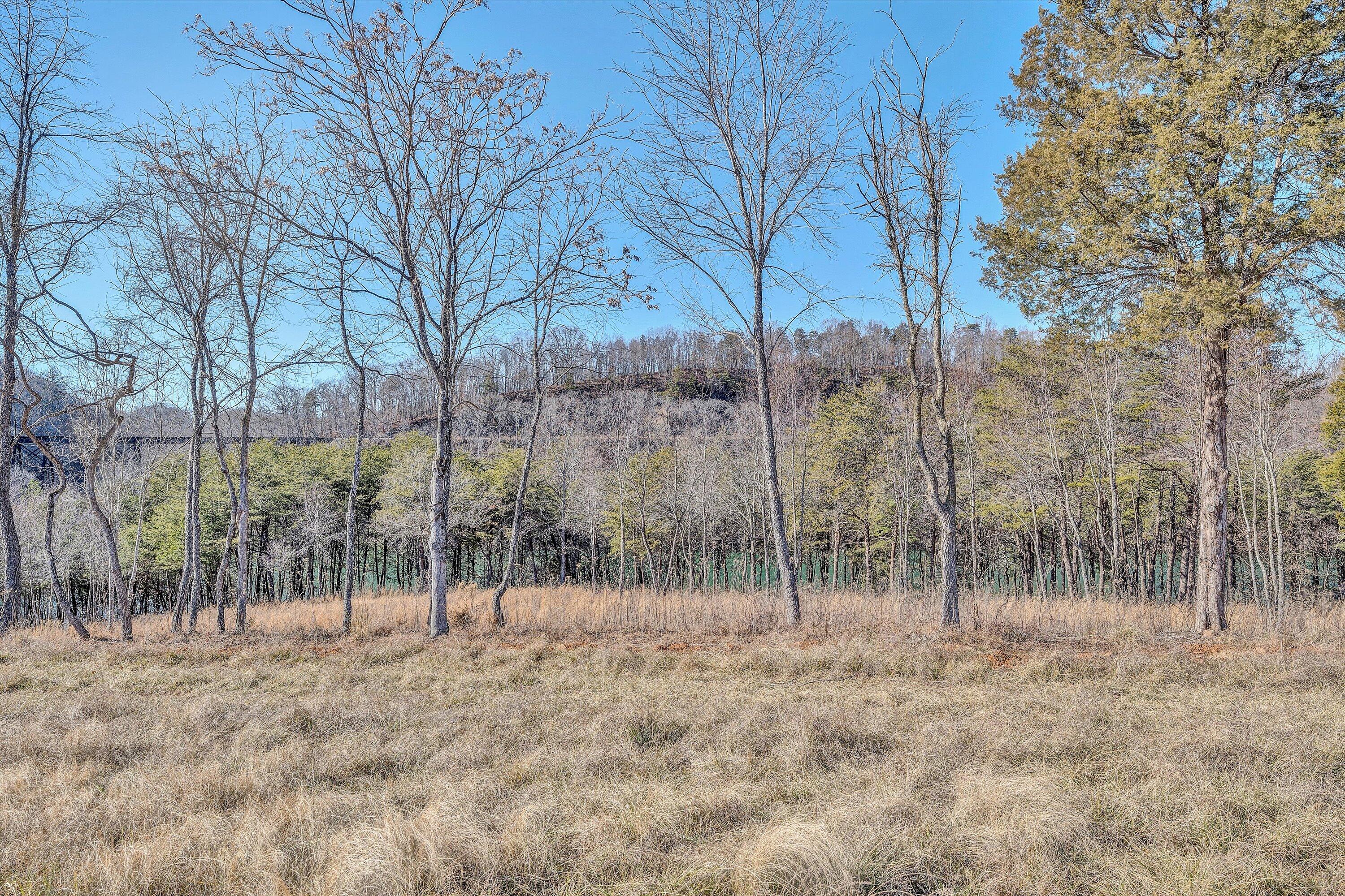 Lot 4 Springsteen Circle Hardy, VA 24101 - Photo 13 of 23 a view of outdoor space