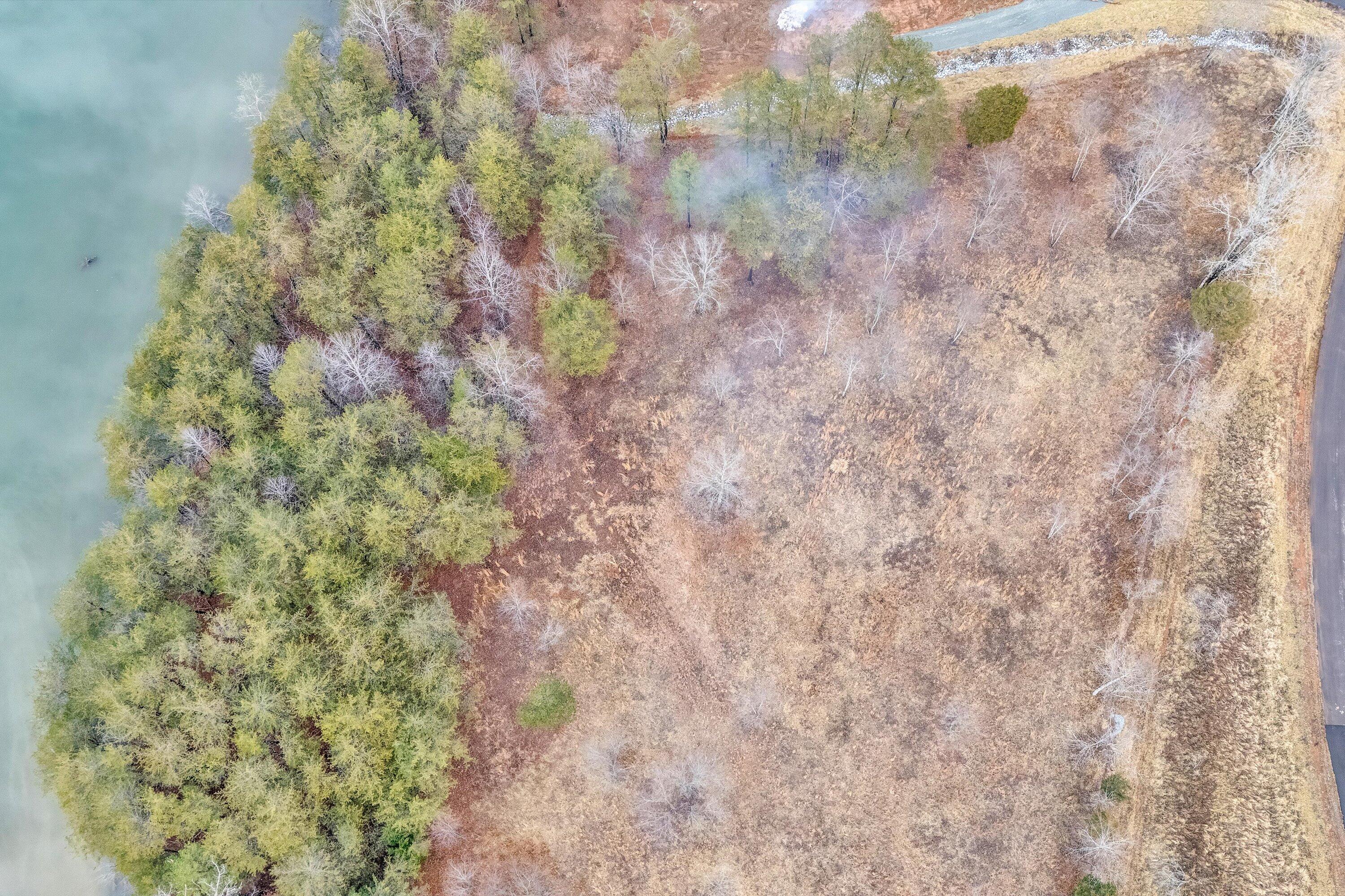 Lot 4 Springsteen Circle Hardy, VA 24101 - Photo 19 of 23 a close up of a plant with a plant