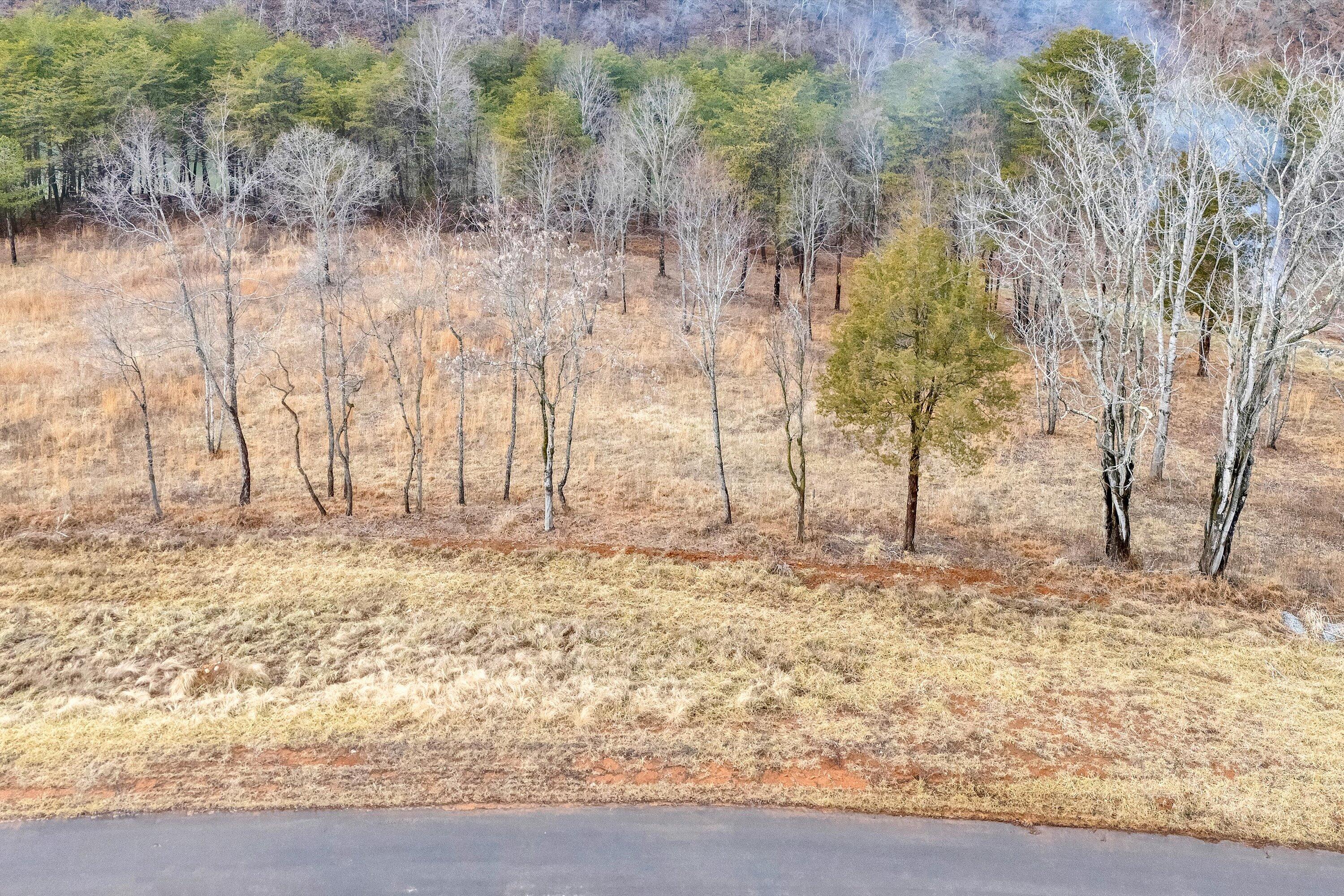 Lot 4 Springsteen Circle Hardy, VA 24101 - Photo 23 of 23 a view of empty room with wooden fence