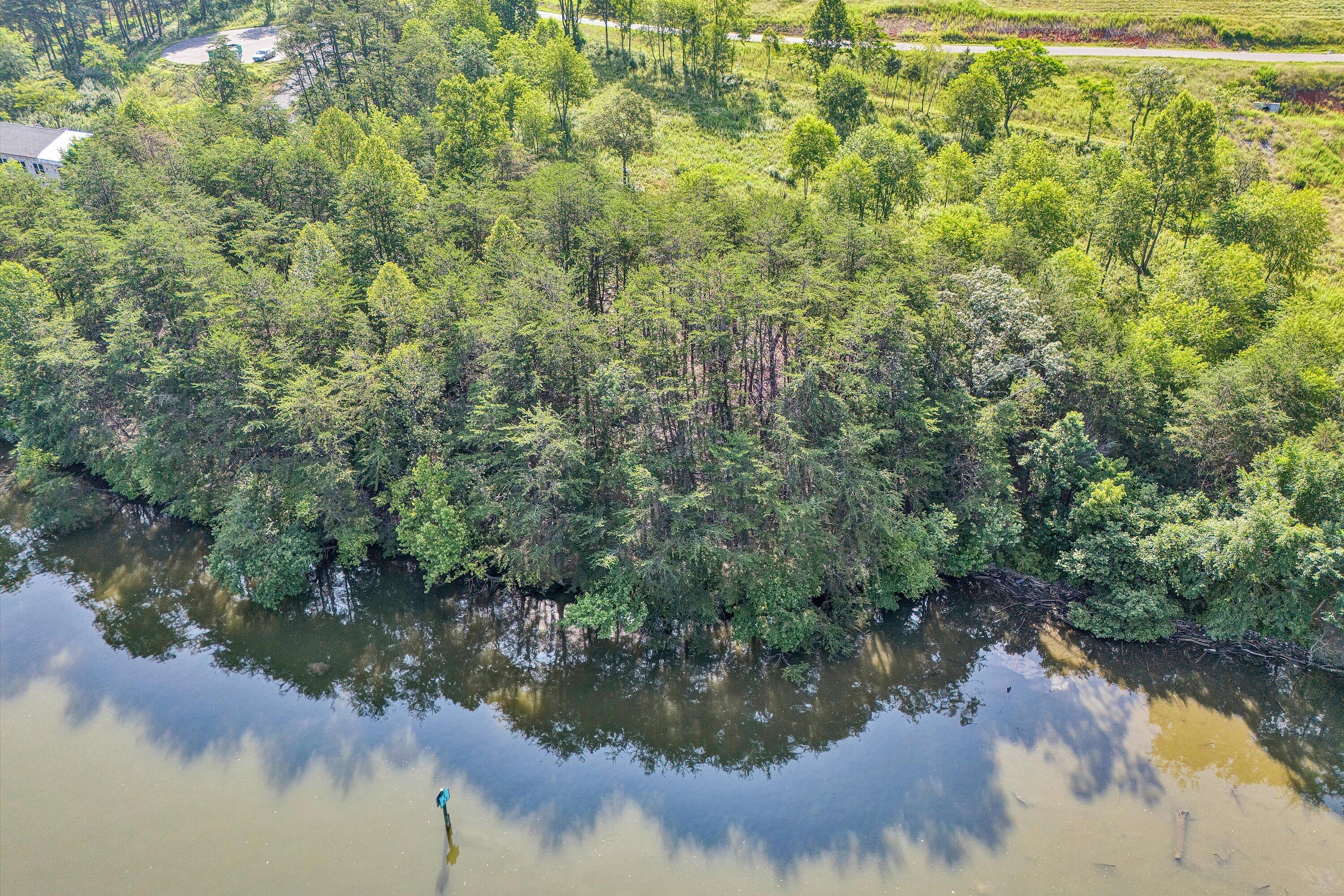 Lot 4 Springsteen Circle Hardy, VA 24101 - Photo 4 of 23 a view of a lake in middle of forest