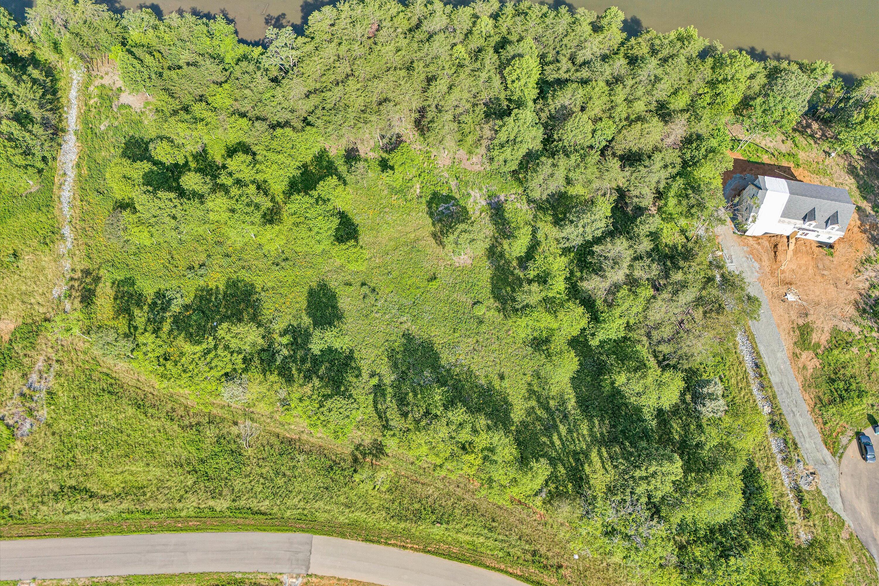 Lot 4 Springsteen Circle Hardy, VA 24101 - Photo 7 of 23 a view of a yard with plants