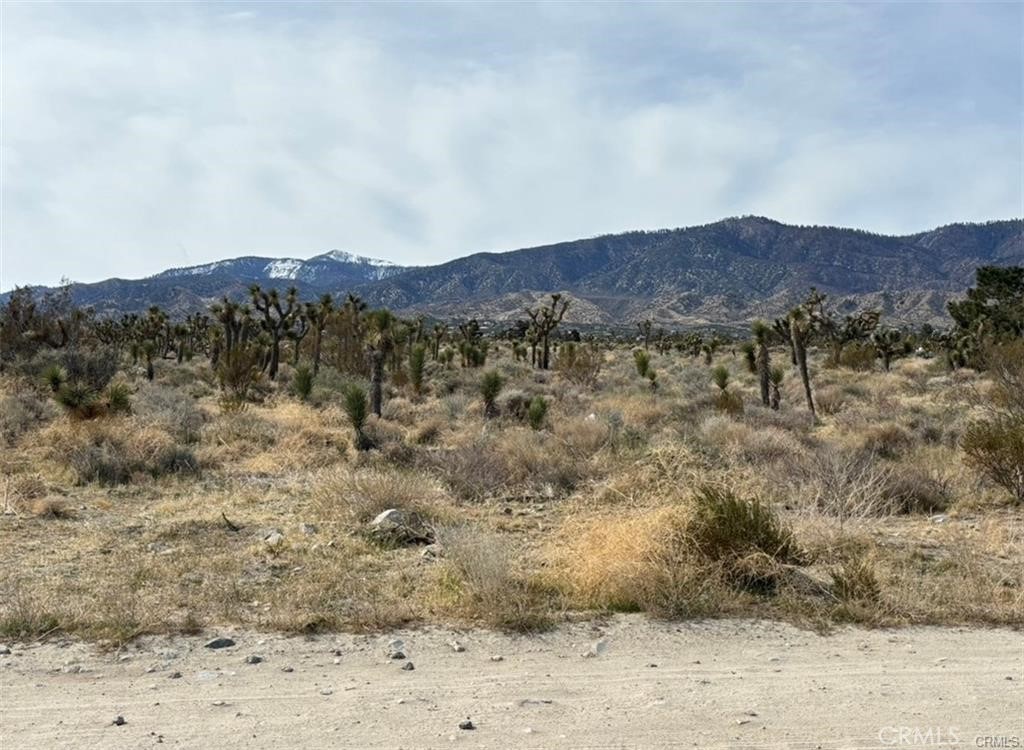 0 Mono Road Pinon Hills, CA 92372 - Photo 1 of 6