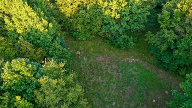 a view of a lush green space