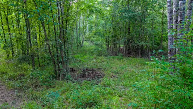 $374,999 | 0 Tbd Highway, Jefferson, TX 75657