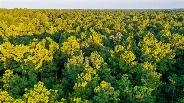 $374,999 | 0 Tbd Highway, Jefferson, TX 75657