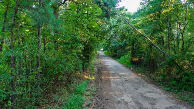 $374,999 | 0 Tbd Highway, Jefferson, TX 75657