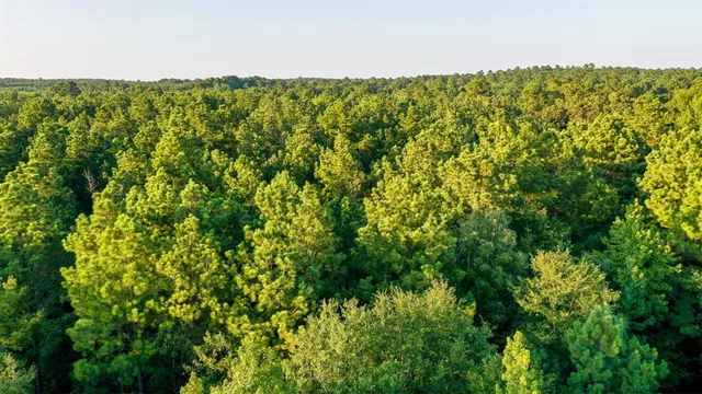 $374,999 | 0 Tbd Highway, Jefferson, TX 75657