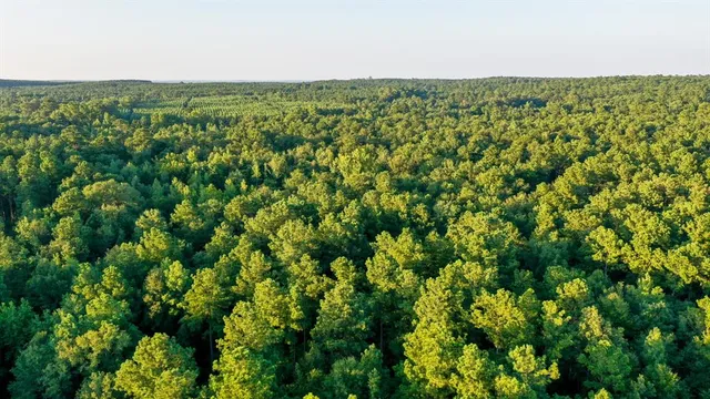 $374,999 | 0 Tbd Highway, Jefferson, TX 75657