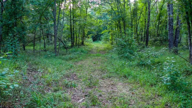 $374,999 | 0 Tbd Highway, Jefferson, TX 75657