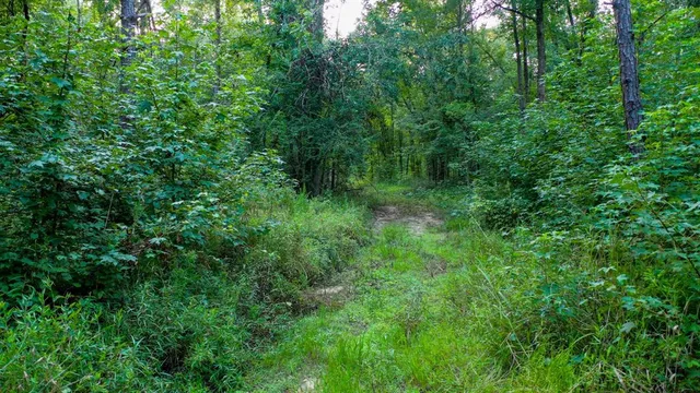 $374,999 | 0 Tbd Highway, Jefferson, TX 75657