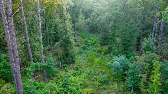 $374,999 | 0 Tbd Highway, Jefferson, TX 75657