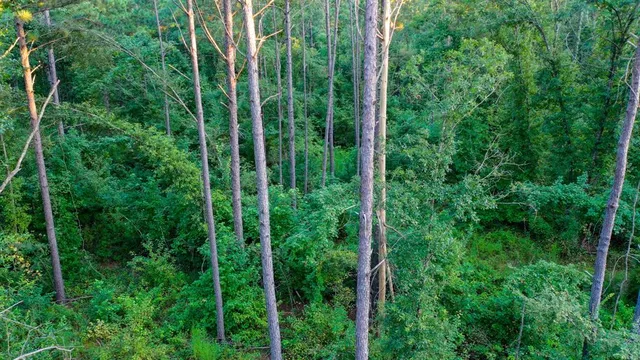 $374,999 | 0 Tbd Highway, Jefferson, TX 75657