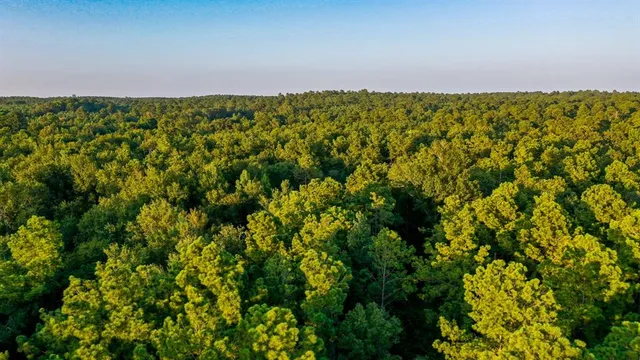 $374,999 | 0 Tbd Highway, Jefferson, TX 75657