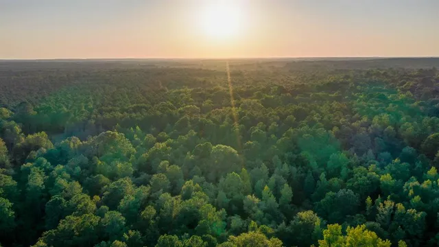 $374,999 | 0 Tbd Highway, Jefferson, TX 75657