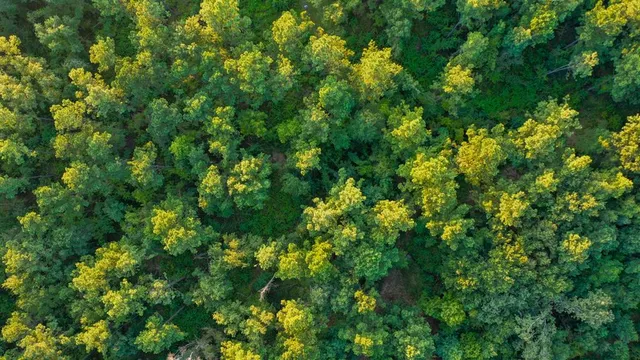 $374,999 | 0 Tbd Highway, Jefferson, TX 75657