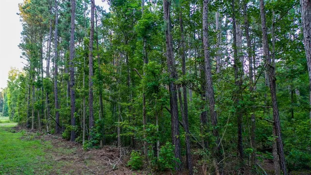 $374,999 | 0 Tbd Highway, Jefferson, TX 75657