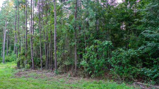 $374,999 | 0 Tbd Highway, Jefferson, TX 75657