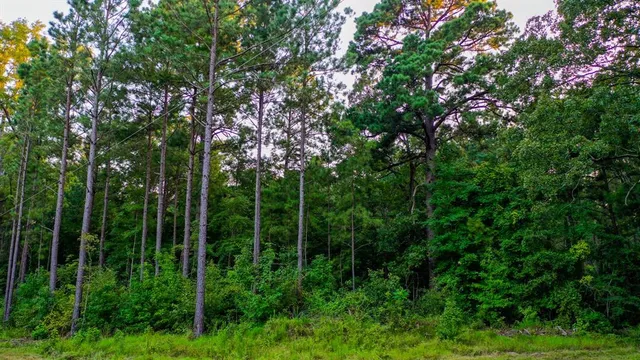 $374,999 | 0 Tbd Highway, Jefferson, TX 75657