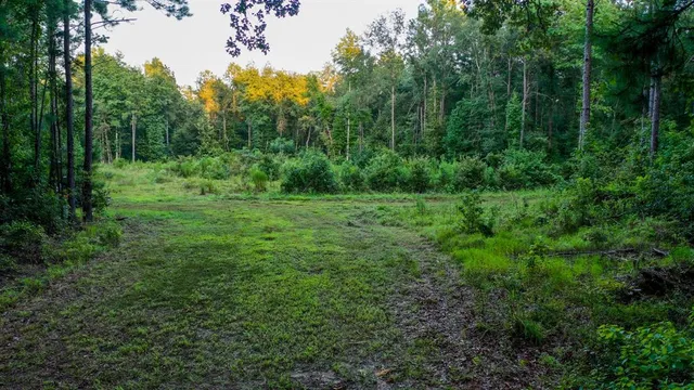 $374,999 | 0 Tbd Highway, Jefferson, TX 75657