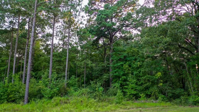 $374,999 | 0 Tbd Highway, Jefferson, TX 75657