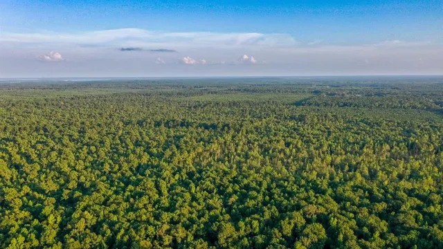 $374,999 | 0 Tbd Highway, Jefferson, TX 75657