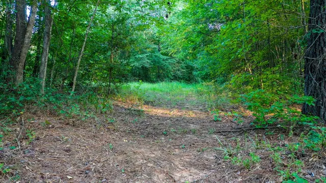 $374,999 | 0 Tbd Highway, Jefferson, TX 75657