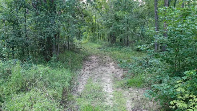 $374,999 | 0 Tbd Highway, Jefferson, TX 75657