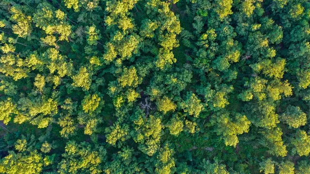 $374,999 | 0 Tbd Highway, Jefferson, TX 75657