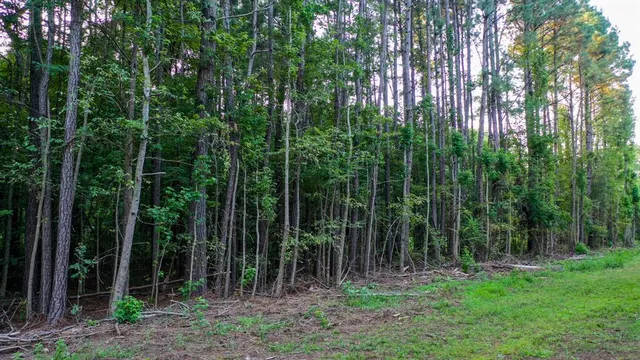 $374,999 | 0 Tbd Highway, Jefferson, TX 75657