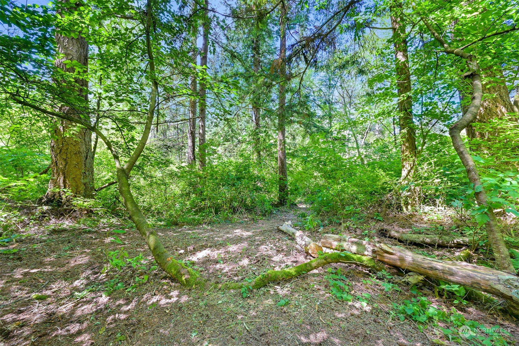 3030 Aldergrove Road Ferndale, WA 98248 - Photo 34 of 38 a backyard of a house with lots of trees