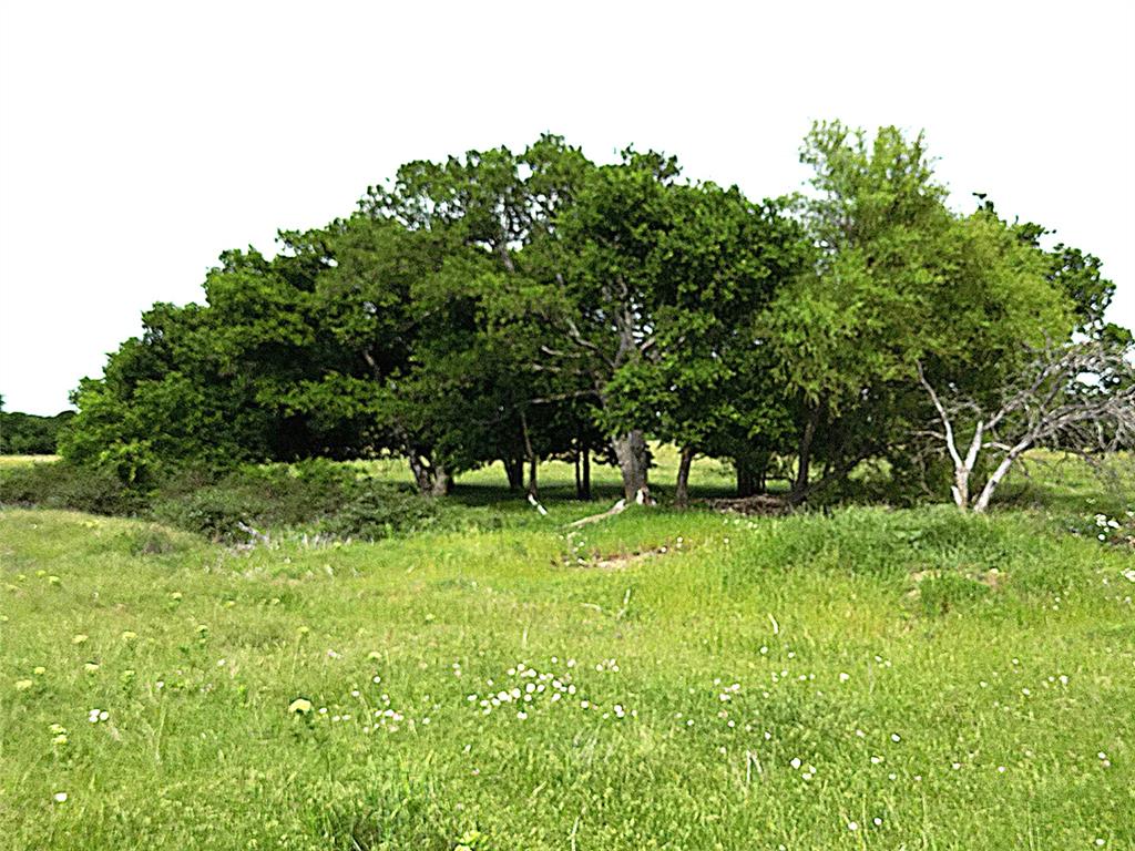 0 Pruett Road Krum, TX 76249 - Photo 35 of 40 a view of backyard with green space