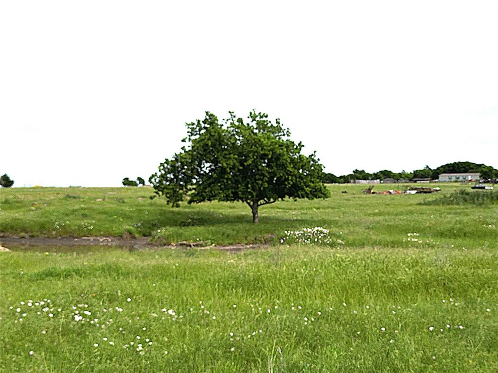 0 Pruett Road Krum, TX 76249 - Photo 36 of 40 a view of a green field with plants