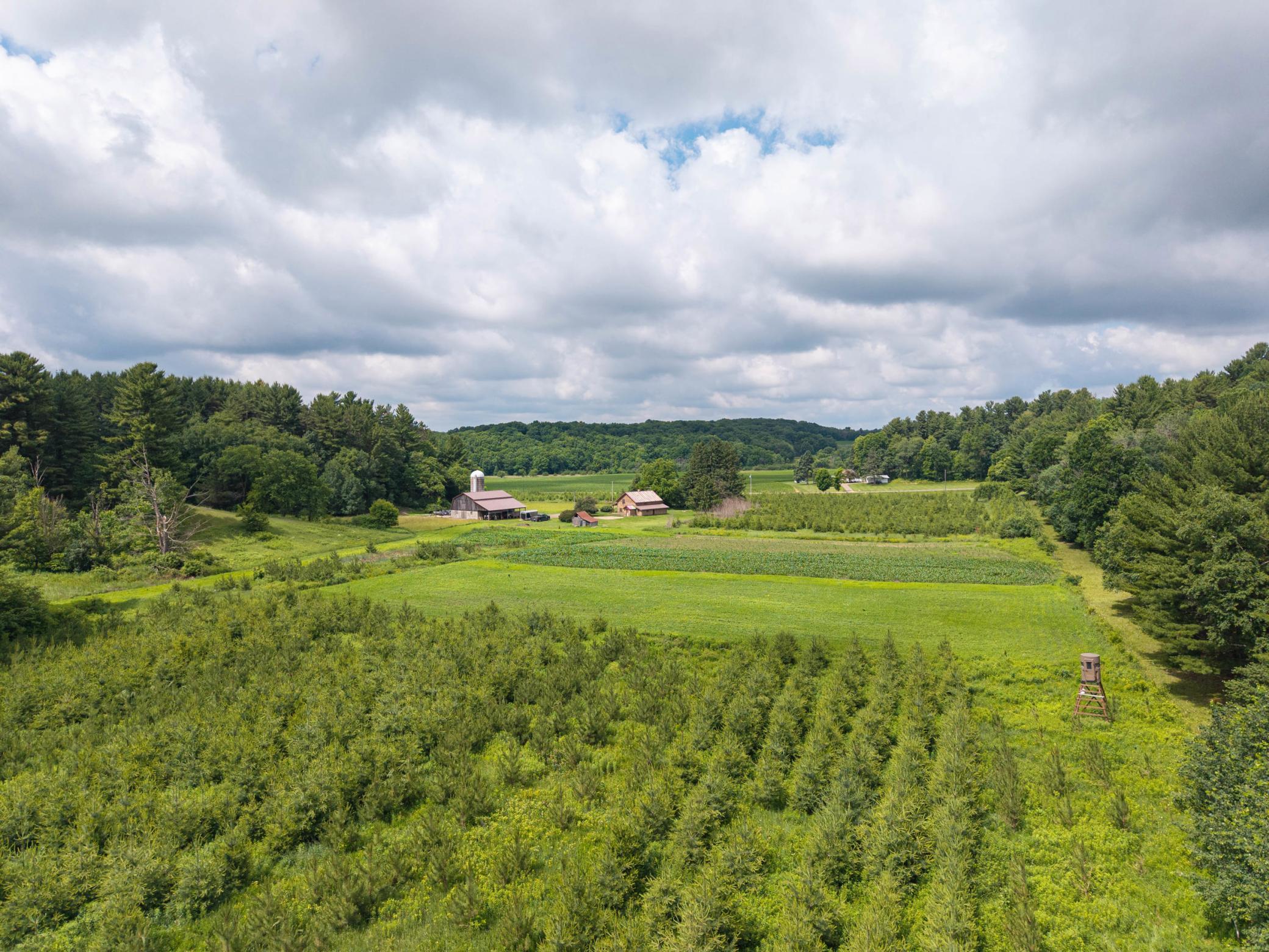 65 7 1/2 Street Prairie Farm, WI 54762 - Photo 36 of 44