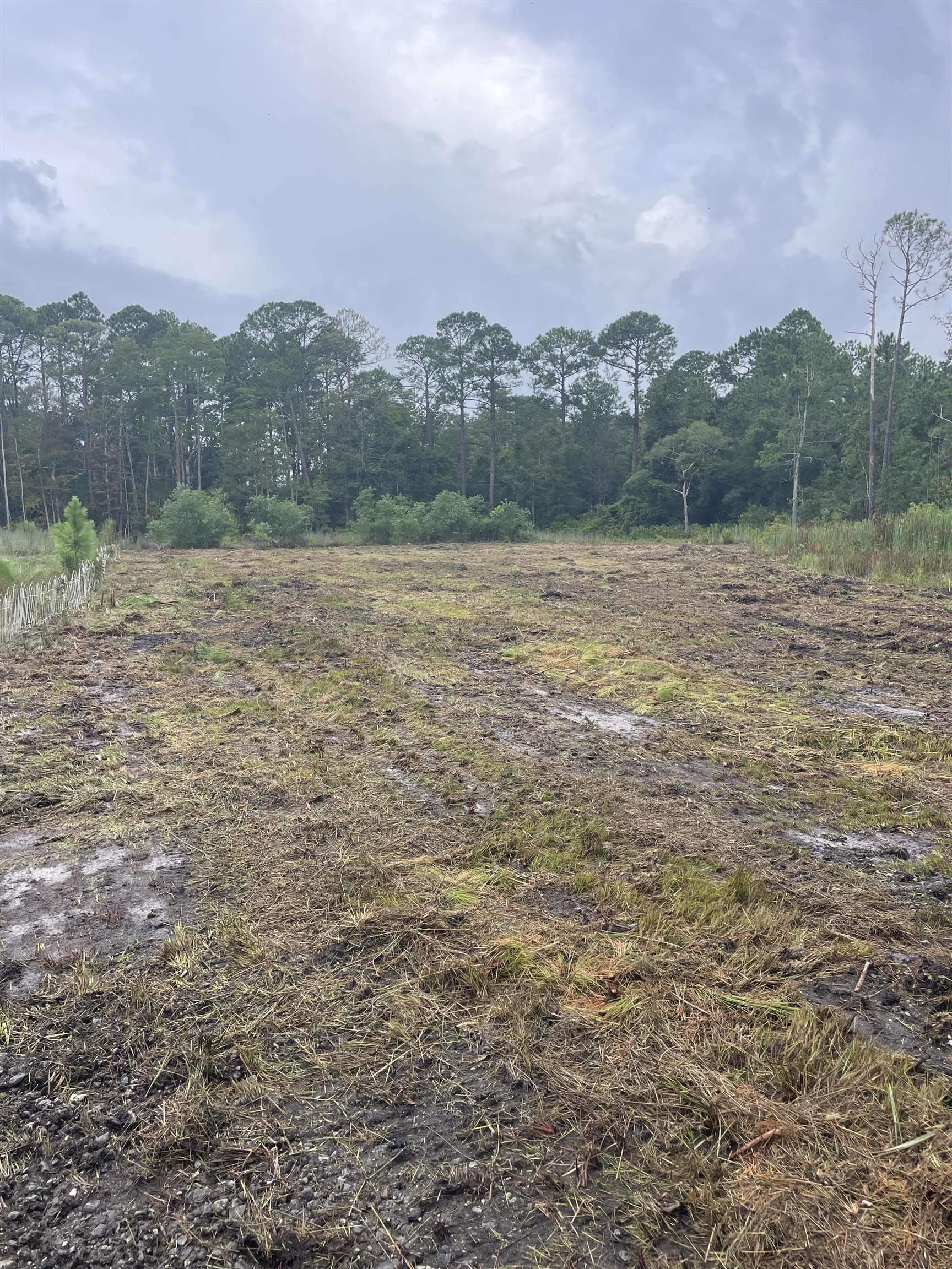 12458-lot D Kings Estate Road St. Augustine, FL 32086 - Photo 3 of 7 a view of a field with an ocean