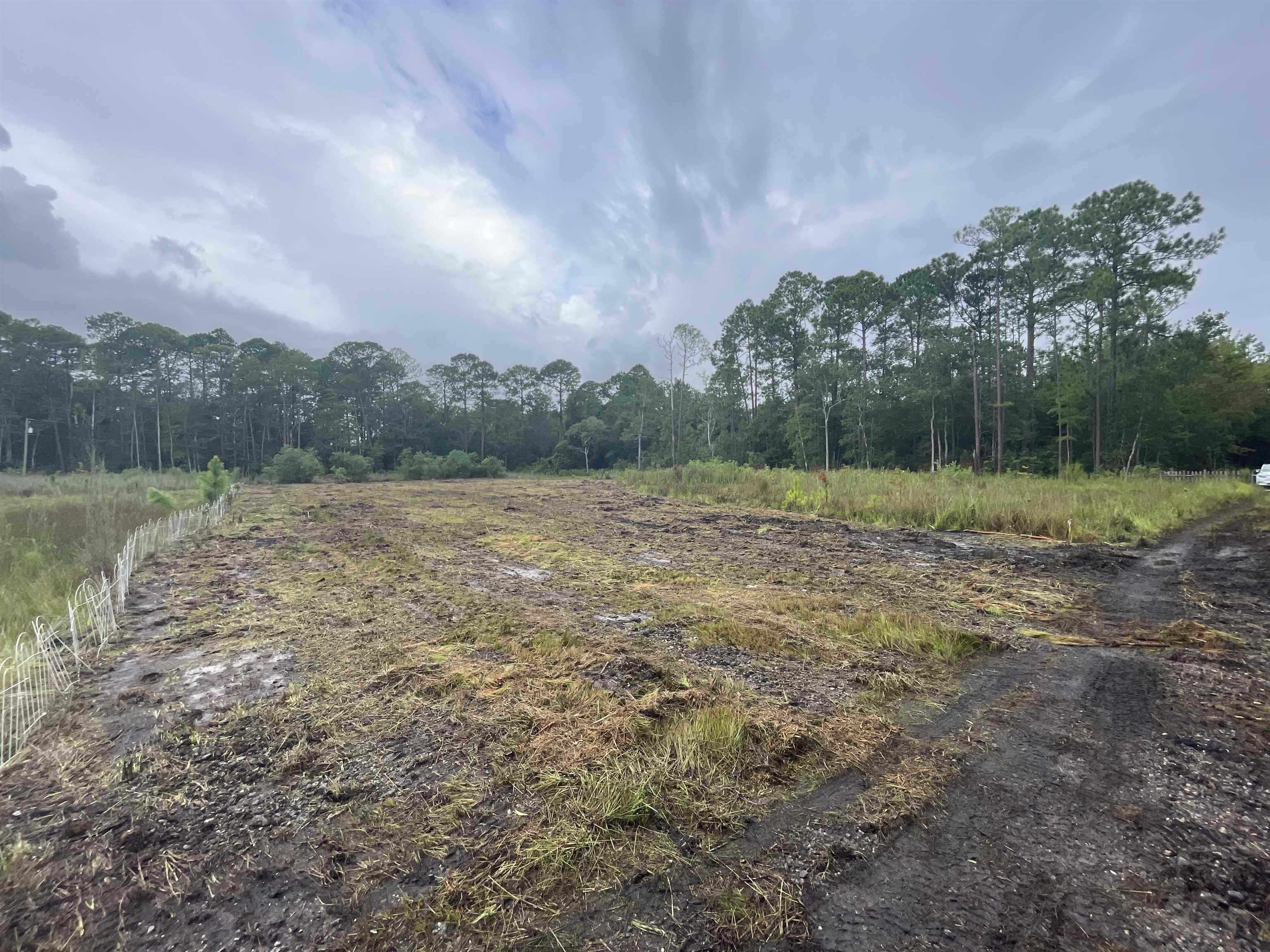12458-lot D Kings Estate Road St. Augustine, FL 32086 - Photo 4 of 7 a view of outdoor space with green field and trees