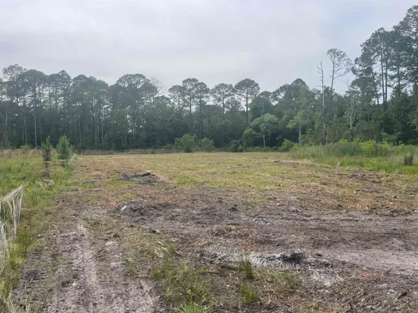 a view of outdoor space with trees all around