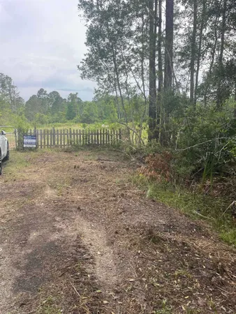 a view of a park with a large trees