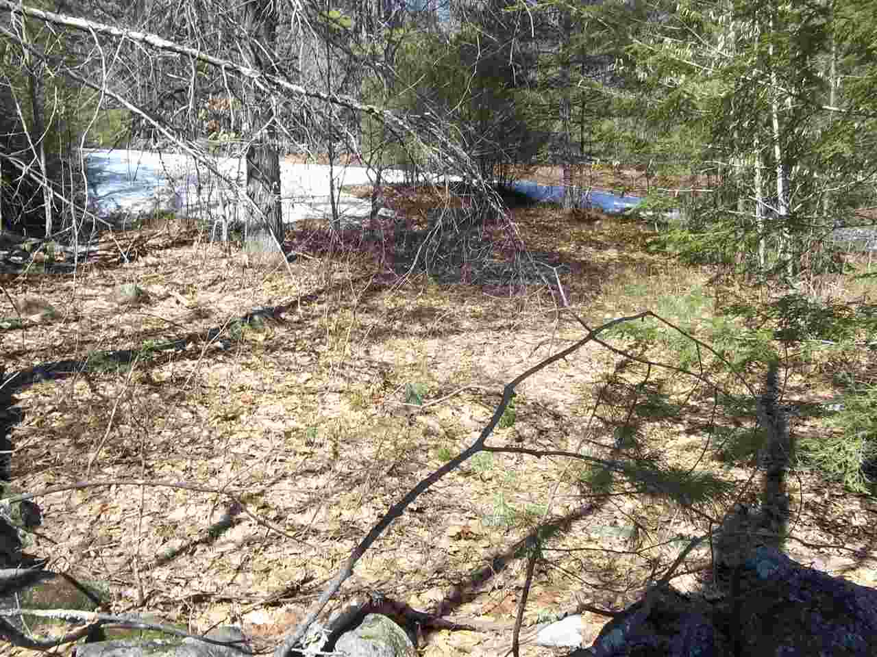 0 Potter Road Center Conway, NH 03813 - Photo 3 of 7