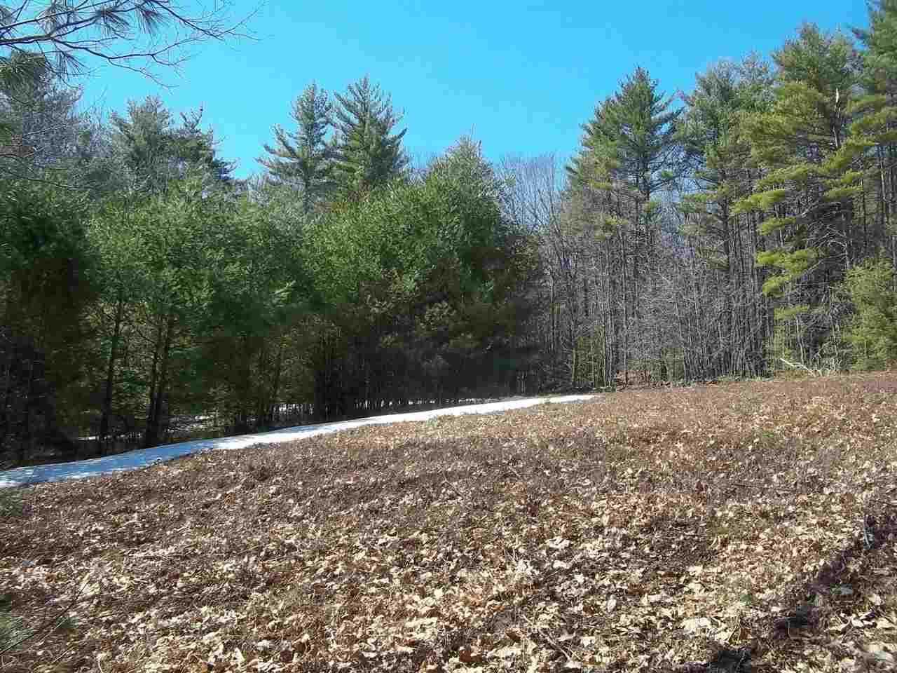 0 Potter Road Center Conway, NH 03813 - Photo 4 of 7