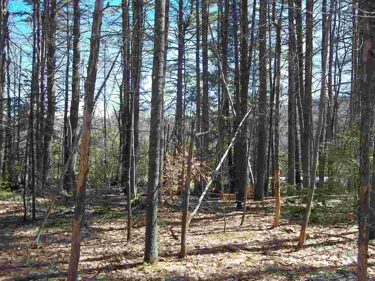0 Potter Road Center Conway, NH 03813 - Photo 5 of 7
