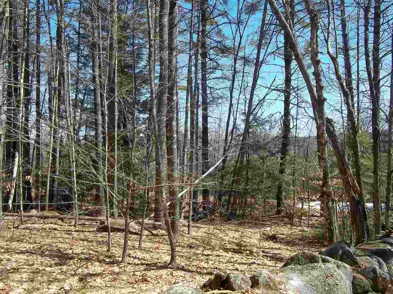 0 Potter Road Center Conway, NH 03813 - Photo 6 of 7
