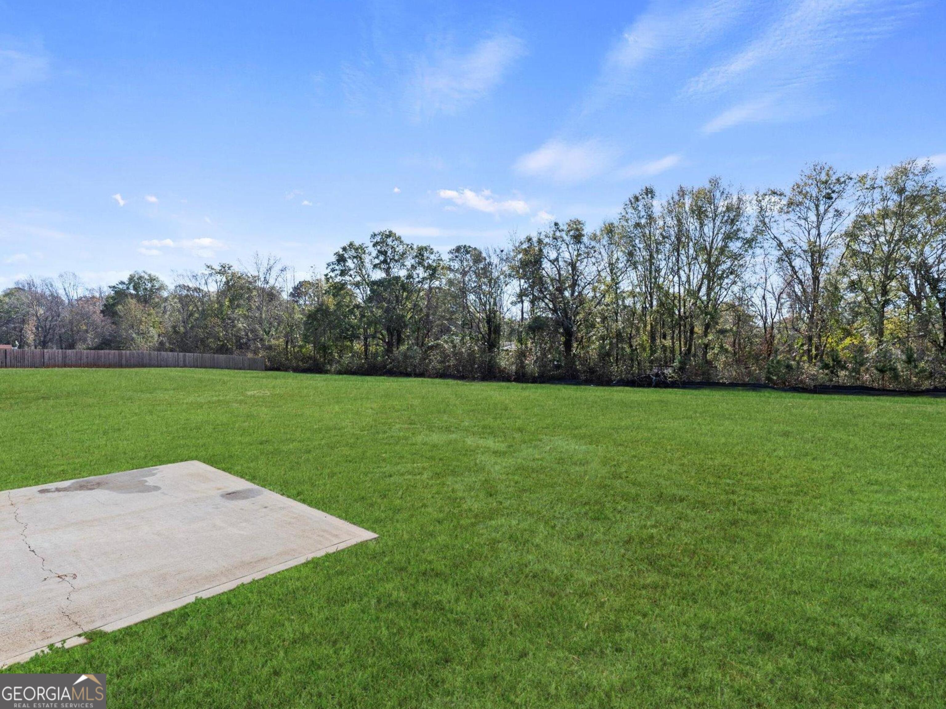 976 Jackson Street Locust Grove, GA 30248 - Photo 16 of 17 a view of a field of grass and trees