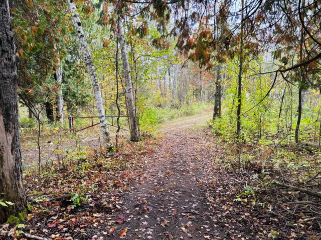 $179,000 | 10934 40th Avenue, Evart, MI 49631