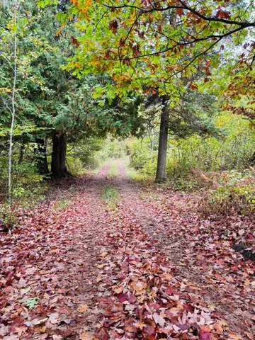 $179,000 | 10934 40th Avenue, Evart, MI 49631