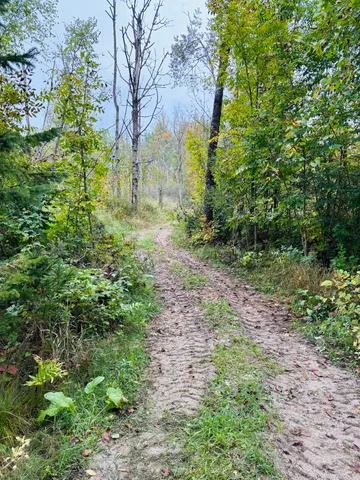 $179,000 | 10934 40th Avenue, Evart, MI 49631