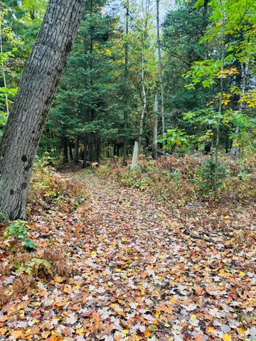 $179,000 | 10934 40th Avenue, Evart, MI 49631